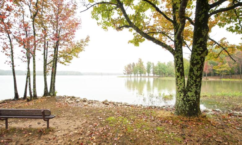 Lake Frierson State Park. Photo by Kirk Jordan.